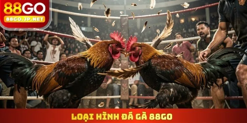 Loại hình Đá gà 88Go